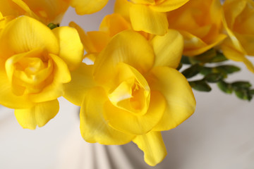 Beautiful spring freesia flowers on blurred background, closeup