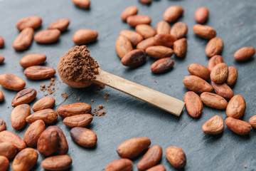 Cacao powder in a wooden spoon with cacao beans and chocolate on a dark background