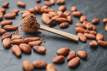 Cacao powder in a wooden spoon with cacao beans and chocolate on a dark background