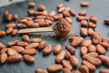 Cacao powder in a wooden spoon with cacao beans and chocolate on a dark background
