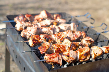 Grilling a delicious shashlik with smoke marinated meat on chargrill