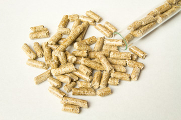 Wooden pellets spilled out of the tube. Biomass Pellets - cheap energy. The concept of biofuel production