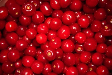Red cherry berries, background