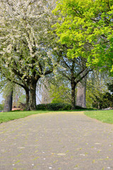 Fototapeta na wymiar Rheinpark im Köln am Rhein. Ein sonniger Frühlingstag im Rheinpark in Köln am Rhein. Der Himmel ist blau die Wiesen sind grün. Das Wetter ist traumhaft.