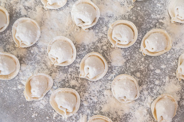 raw dumplings with flour on baking paper , semifinished products