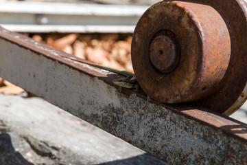 lizard on metal construction