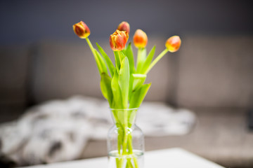 Tulipany w wazonie, stojące na stole - obrazy, fototapety, plakaty