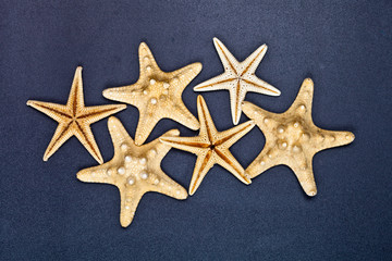 Fototapeta na wymiar Top view of six starfish.