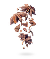 Pieces of dry anise fall down on a white background