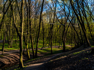 Spring Goloseevsky Park 