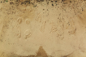 Footprints on the sand. on the beach.