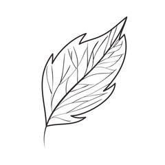 branch with leaf isolated icon