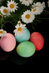 Obraz na płótnie Canvas easter and colored eggs