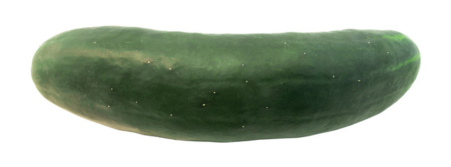CUCUMBER LONG SIDE 1