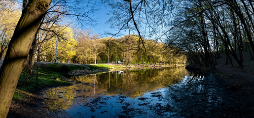 Fototapeta na wymiar Spring Goloseevsky Park 