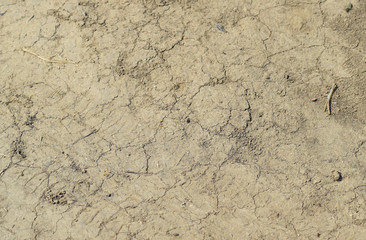 The soil on a dirt road