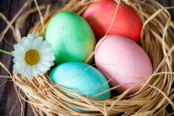 easter and colored eggs