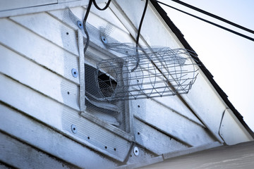 One way exclusion tunnel and wire mesh installed to eliminate rodents in attic.