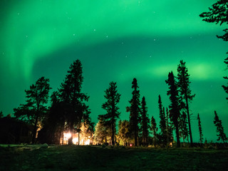 Northern Lights over trees