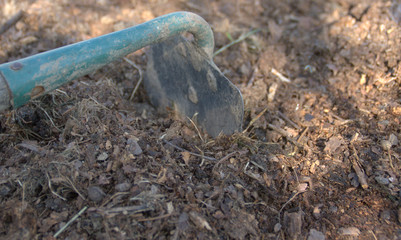 Obraz premium bêche engros plan dans le jardin 