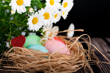 easter and colored eggs