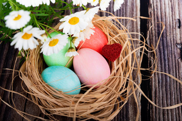 easter and colored eggs