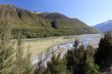 beauty of nature on northern island of new zealand