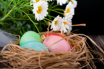 easter and colored eggs