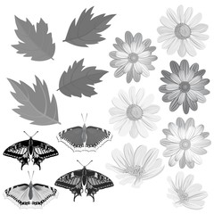 Flowers, leaves and butterflies in gray tone.