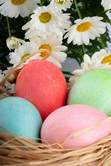 easter and colored eggs