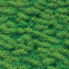 Seamless grass vector texture. Green grass seamless texture illustration