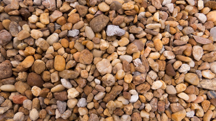 Background: lot of small pebbles of different shapes with many hue of brown.