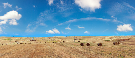 Sicily summer agriculture countryside, Italy.