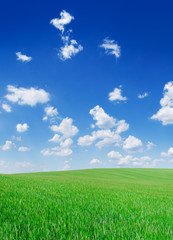 Idyllic view, green hills and blue sky with white clouds