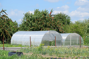 Greenhouse polycarbonate in a private garden