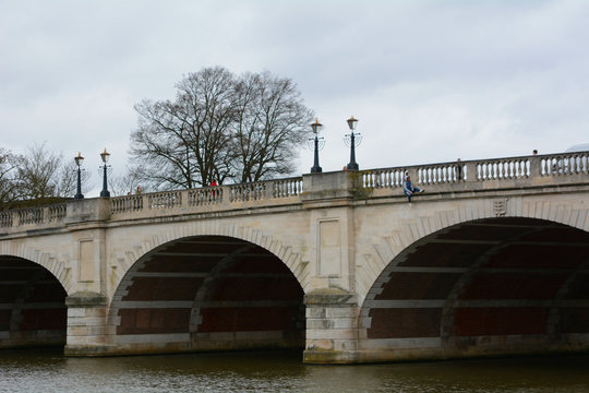 Man on the bridge