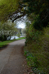 In the park