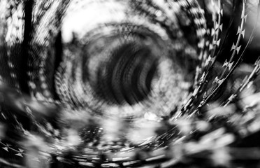 monochrome barb wire on top of a fence