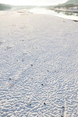 朝焼けの相模川