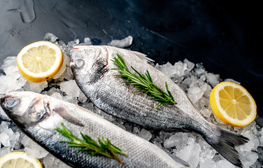 chilled raw sea bass and dorado fish with lemon and rosemary on ice, on a stone background, with copy space for your text