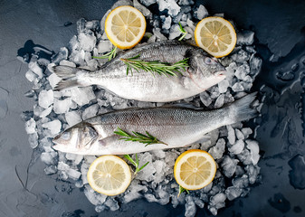 chilled raw sea bass and dorado fish with lemon and rosemary on ice, on a stone background