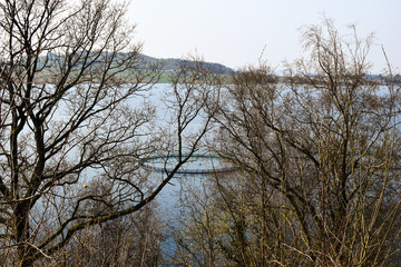 View from the high shore to the fish farm in the spring. Trees in the foreground. Mastrafjord. Rogaland. Norway.