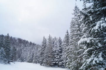 Fototapeta na wymiar Śnieżny widok