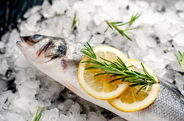 chilled raw sea bass fish with lemon and rosemary on ice near a stone