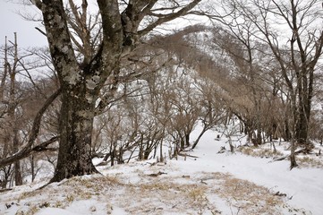 厳冬の丹沢山地