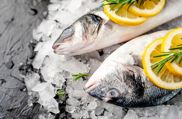 chilled raw sea bass and dorado fish with lemon and rosemary on ice, on a stone background