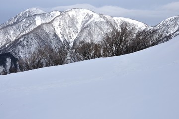 雪山望む