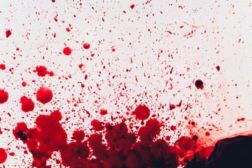 Fresh human bright red blood on floor.