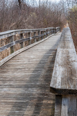 Obraz premium wooden bridge in the forest