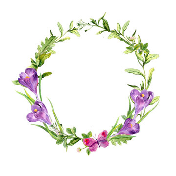 Easter wreath with spring crocus flowers, grass, butterfly. Circle frame. Watercolor